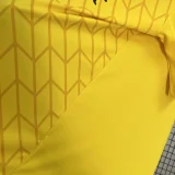 24-25 Colo-Colo Yellow GoalKeeper Fans Soccer Jersey