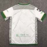 24-25 Tokyo Verdy Away Fans Soccer Jersey 东京绿茵