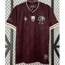 24-25 Mineiro Special Edition Fans Soccer Jersey