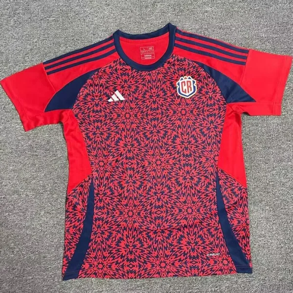24-25 Costa Rica Home Fans Soccer Jersey
