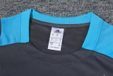 24-25 Argentina Grey Training Short Suit