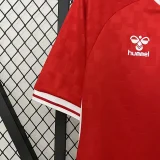 24-25 Denmark Home Fans Soccer Jersey 胶标