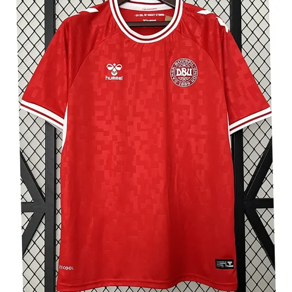 24-25 Denmark Home Fans Soccer Jersey 胶标
