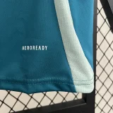 24-25 Mexico Green Blue Training shirts
