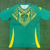 24-25 JAMAICA Green Training shirts