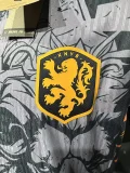 24-25 Netherlands Grey Special Edition Player Version Soccer Jersey *JD