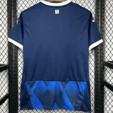 24-25 Heidenheim Away Fans Soccer Jersey 海登