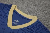 24-25 Palmeiras Royal blue Tank top and shorts suit