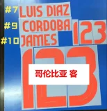 24-25 Colombia Away Player Version Soccer Jersey