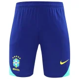 24-25 Brazil Blue Training Shorts Pants