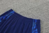 24-25 Italy Royal blue Training Shorts Pants