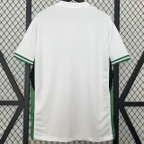 24-25 Nigeria Home Fans Soccer Jersey
