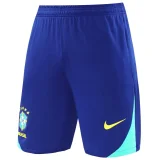 24-25 Brazil Blue Training Shorts Pants