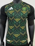Copy 24-25 Jamaica Away Player Version Soccer Jersey