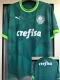 23-24 Palmeiras Home Fans Soccer Jersey
