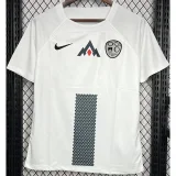 24-25 Slovenia Home Fans Soccer Jersey