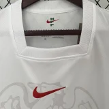 24-25 Switzerland Away Fans Soccer Jersey