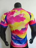 2024 Japan Yellow blue Special Edition Player Version Soccer Jersey 经典款2