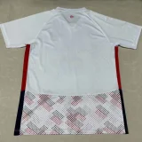 24-25 Lille Away Fans Soccer Jersey