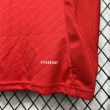 24-25 Benfica Home 1:1 Fans Soccer Jersey
