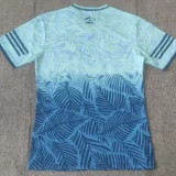 24-25 Inter Miami Light Blue Special Edition Fans Soccer Jersey 浅蓝