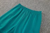24-25 Portugal Light green Half Pull Tracksuit (半拉链)
