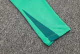 24-25 Portugal Light green Half Pull Tracksuit (半拉链)