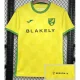 24-25 Norwich City Home Fans Soccer Jersey