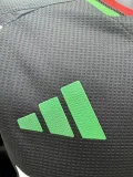 24-25 ARS Away Long Sleeve Player Version Soccer Jersey (长袖球员)