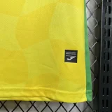 24-25 Norwich City Home Fans Soccer Jersey