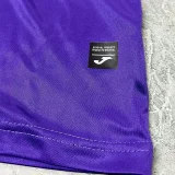 24-25 RSC Anderlecht Home Fans Soccer Jersey