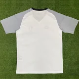 24-25 JUV White Grey Goalkeeper Soccer Jersey