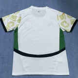 24-25 Ivory coast Concept Edition Away Fans Soccer Jersey