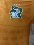 24-25 Ivory Coast Concept Edition Home Player Version Soccer Jersey