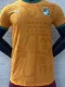 24-25 Ivory Coast Concept Edition Home Player Version Soccer Jersey