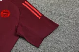 24-25 Bayern Dark red Training Short Suit