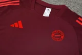 24-25 Bayern Dark red Training Short Suit