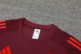 24-25 Bayern Dark red Training Short Suit