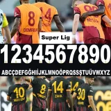 24-25 Galatasaray Home Fans Soccer Jersey *右袖广告