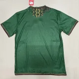 24-25 Mali Away Player Version Soccer Jersey