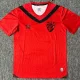 24-25 Recife Sports Third Fans Soccer Jersey