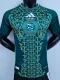 24-25 Algeria Away Player Version Soccer Jersey
