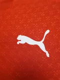 24-25 Portugal Red Special Edition Player Version Soccer Jersey #PM