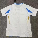 24-25 Argentina Blue White Special Edition Fans Soccer Jersey *太阳神