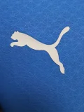24-25 Al-Hilal Commemorative Edition Playe Version Soccer Jersey