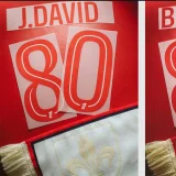 24-25 Lille White 80th Anniversary Fans Soccer Jersey