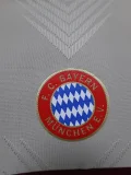 24-25 Bayern Khaki Brown Special Edition Player Version Soccer Jersey