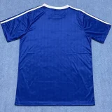 2024 AD Blue Special Edition Training shirts *三叶草