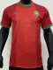 24-25 Morocco Home Player Version Soccer Jersey