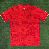 24-25 Spain Comma Red Special Edition Fans Soccer Jersey